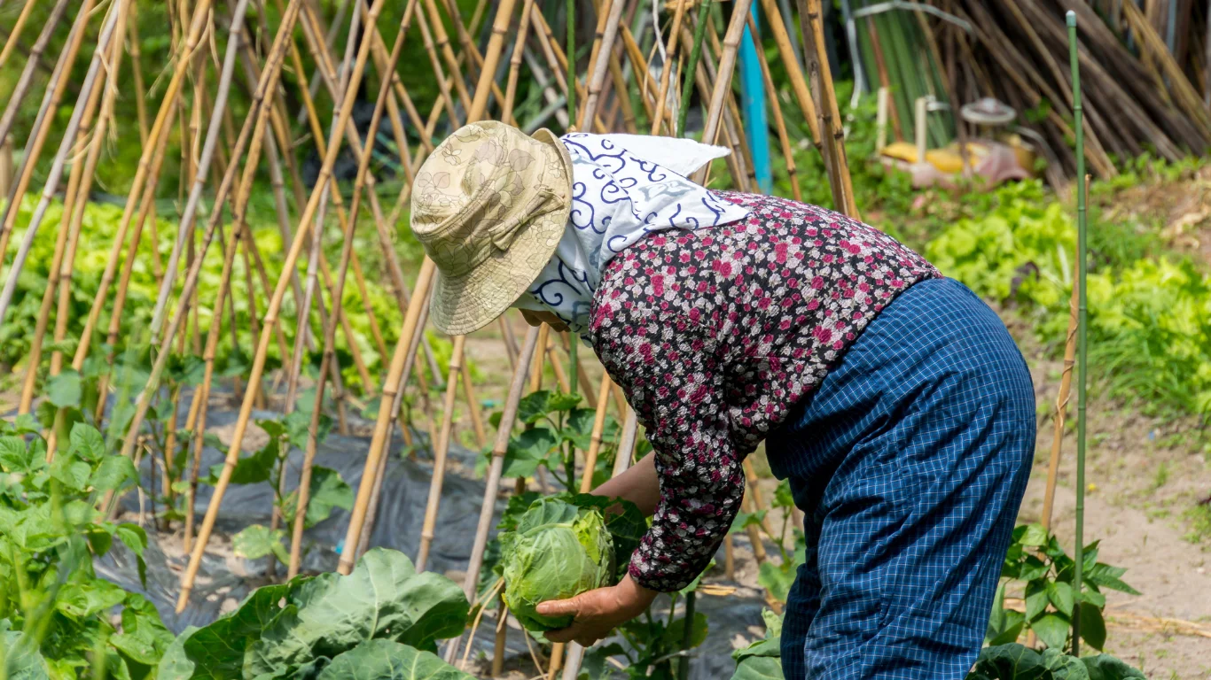 ふるさと納税で地域に活力を